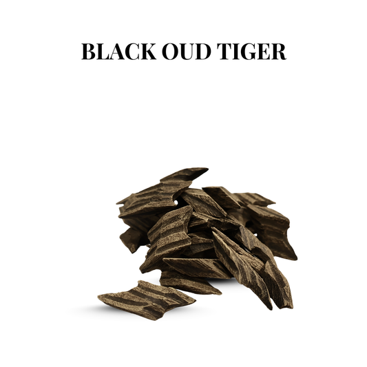 Black Oud Tiger